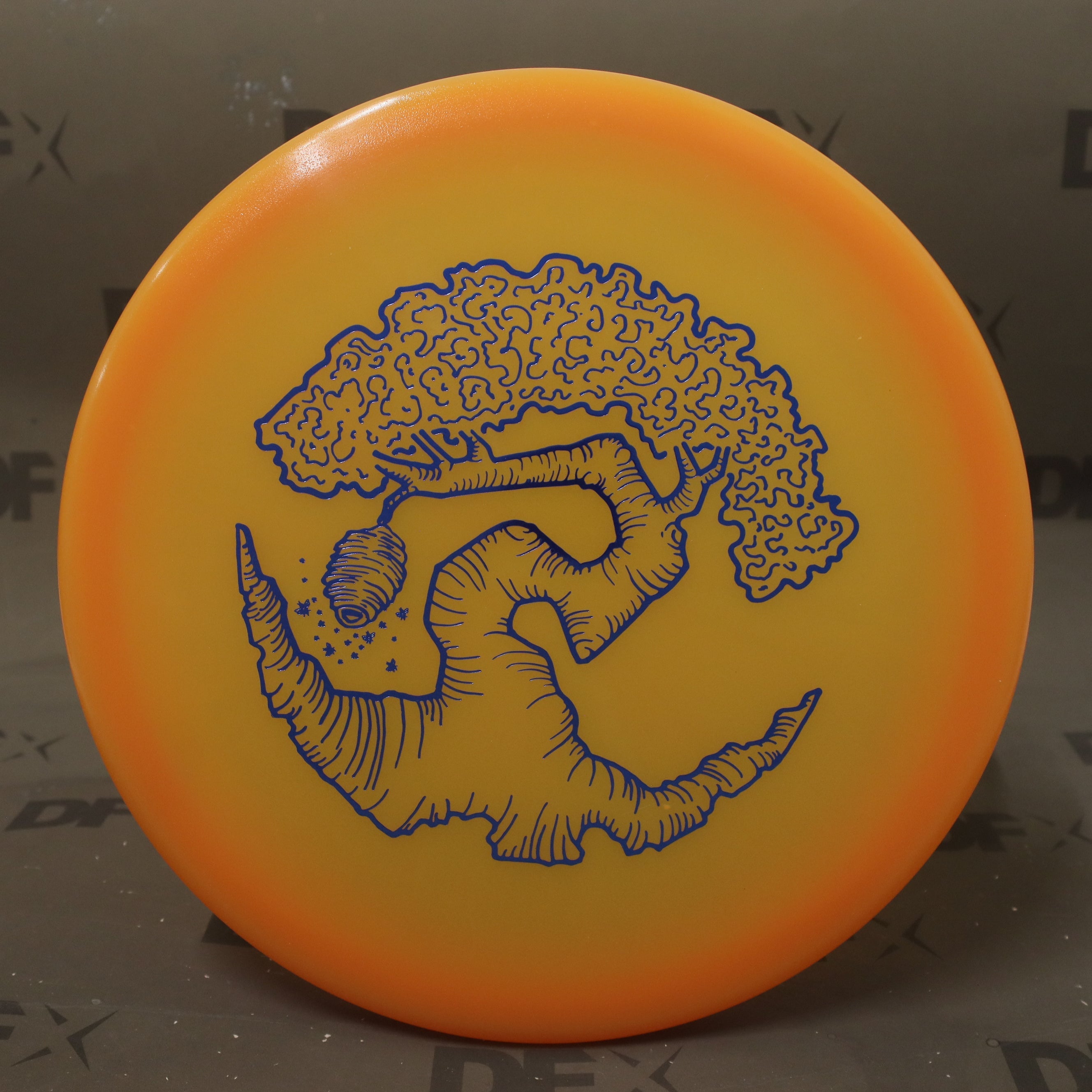 Discraft Z Glo FLX Swarm - part 2