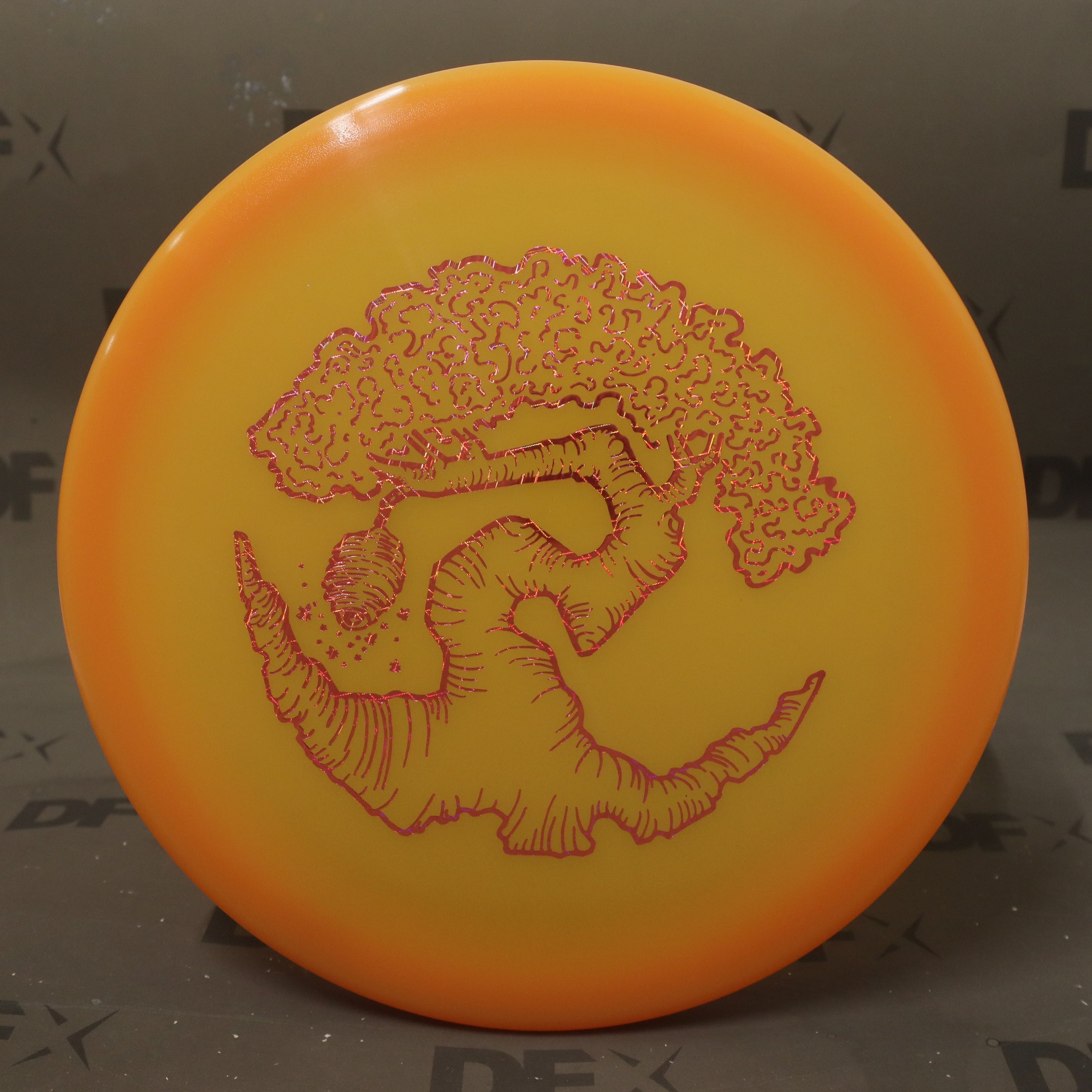 Discraft Z Glo FLX Swarm - part 2