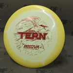 Innova Halo Star Tern