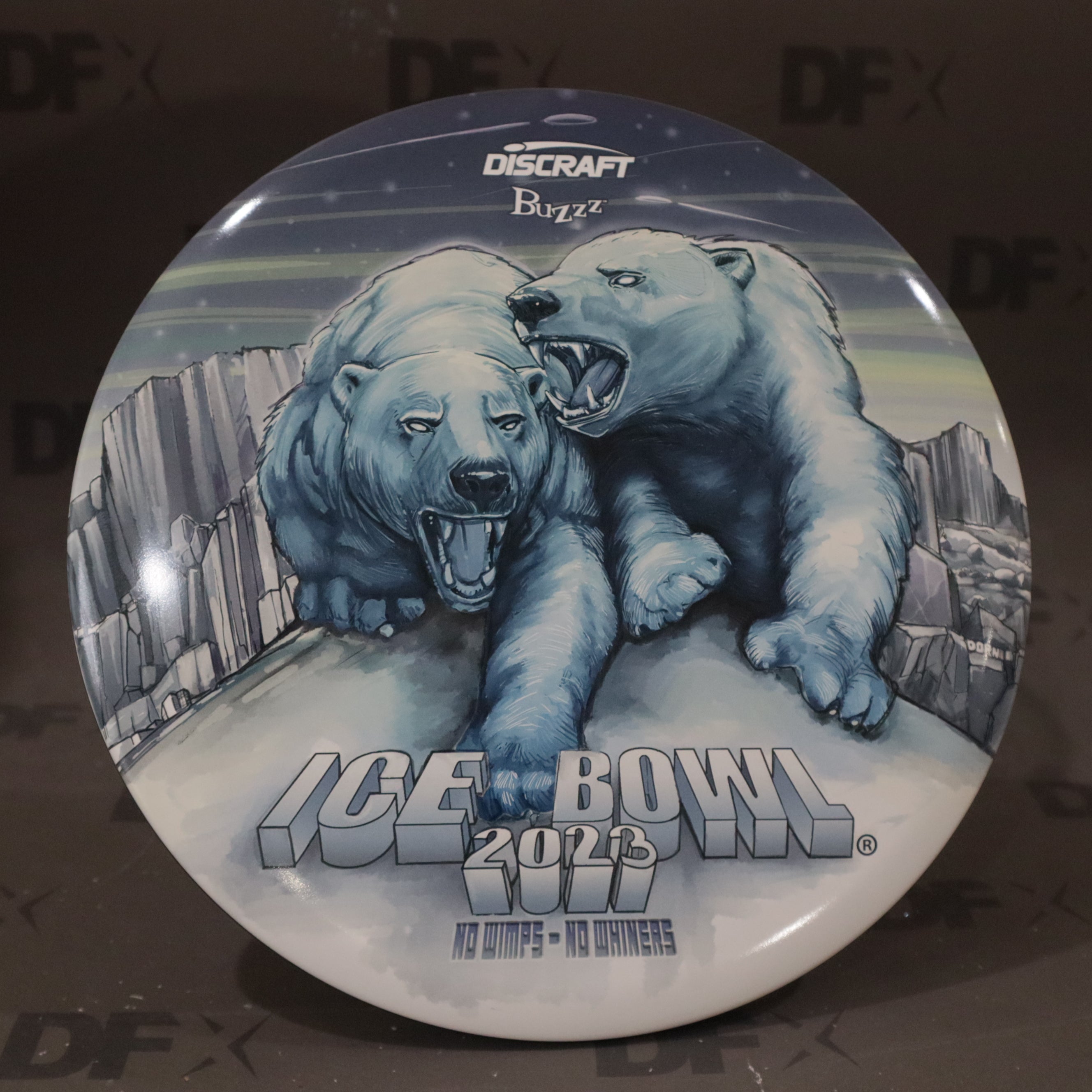 Discraft Full Color Buzzz - Ice Bowl 2023